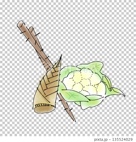 シンプルな食材イラスト|野菜・たけのこ・ごぼう・カリフラワー シンプルな食材イラスト|野菜・たけのこ・ごぼう・カリフラワー 135524029