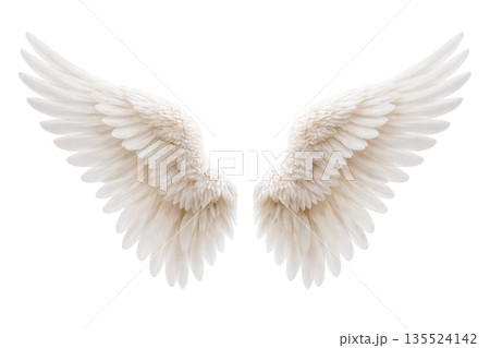 White Angel Wings Isolated on Clean Background 135524142