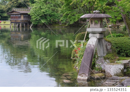 兼六園　霞ヶ池と徽軫灯籠 135524351