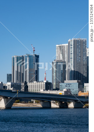 豊洲の豊洲大橋と高層マンション群 東京ベイエリア 豊洲の豊洲大橋と高層マンション群 東京ベイエリア 135524364