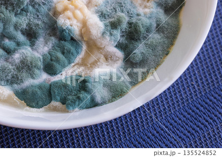 Moldy spoiled food on plate Moldy spoiled food on plate 135524852