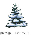 Spruce tree in the snow. Watercolor illustration of Fir tree covered snow on white background. Isolated of Christmas tree covered in snow. Tree of Snowy forest for design, invitation or postcard 135525190