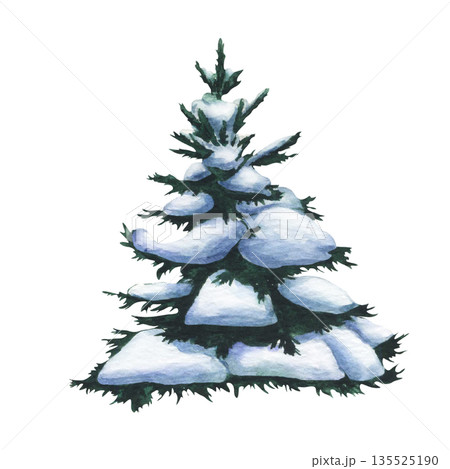 Spruce tree in the snow. Watercolor illustration of Fir tree covered snow on white background. Isolated of Christmas tree covered in snow. Tree of Snowy forest for design, invitation or postcard 135525190