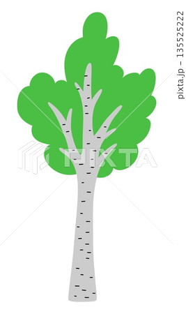 Vector green birch tree icon isolated on white background. Garden or forest plant with twigs and leaves. Flat spring, Easter village or farm illustration. Natural greenery picture 135525222