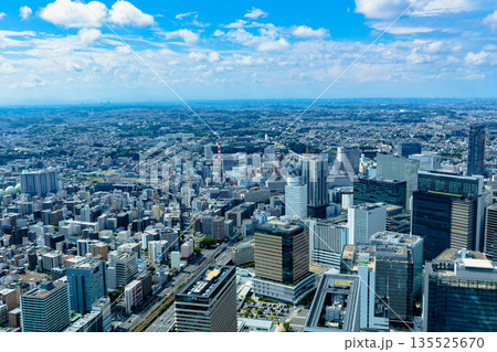 ランドマークタワーから見下ろした横浜街 135525670