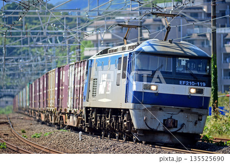 東海道本線 真鶴 JR貨物 EF210-119(新鶴見) 東海道本線 真鶴 JR貨物 EF210-119(新鶴見) 135525690