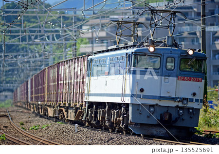 東海道本線　真鶴　JR貨物　EF65-2075（新鶴見） 135525691