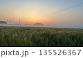 朝焼けの空と稲穂の田園風景 135526367
