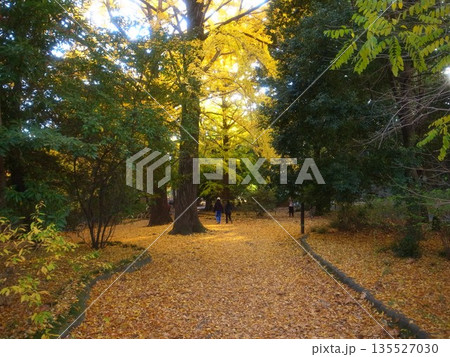 秋の武蔵関公園 135527030