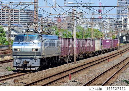 東海道本線　相模貨物　JR貨物　EF66-119（吹田） 135527151