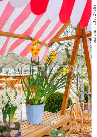 Spring garden flowers in pots under striped canopy at cozy outdoor wooden table in flower shop 135527165