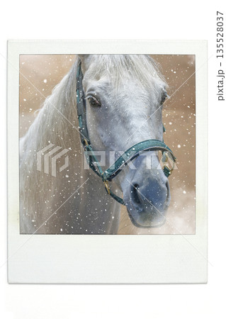 白馬 フォトショップ加工(雪を足す)ポラ風 白馬 フォトショップ加工(雪を足す)ポラ風 135528037