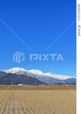 山麓から望む冬の北アルプス後立山連峰 135528046