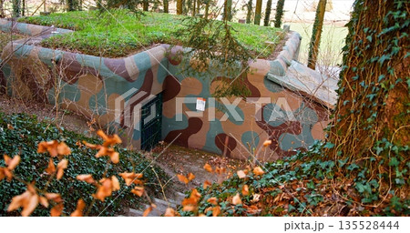 Hidden Underground Refuge From War Encased In Abundant Plant Life And Fallen Foliage Creating Eternal Calm Hidden Underground Refuge From War Encased In Abundant Plant Life And Fallen Foliage Creating Eternal Calm 135528444