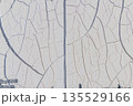 ひび割れた白いペンキのテクスチャ（古い塗装の背景素材） 135529166