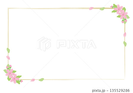 水彩風の桜の和風フレーム 四隅の装飾と金の細枠背景素材 水彩風の桜の和風フレーム 四隅の装飾と金の細枠背景素材 135529286