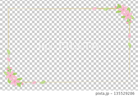 水彩風の桜の和風フレーム 四隅の装飾と金の細枠背景素材 水彩風の桜の和風フレーム 四隅の装飾と金の細枠背景素材 135529286