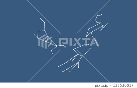 ネイビー色の背景に浮かぶ春の大三角のイラスト(白線の星座線) ネイビー色の背景に浮かぶ春の大三角のイラスト(白線の星座線) 135530017