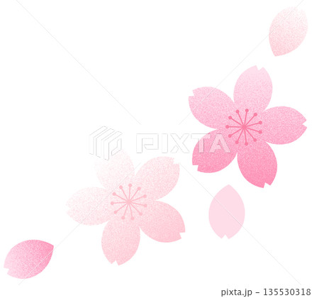 レトロな桜と花びらのイラスト素材 135530318
