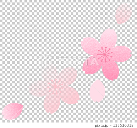 レトロな桜と花びらのイラスト素材 135530318