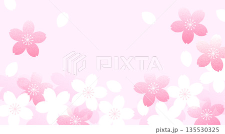 レトロな桜のPOP素材 135530325