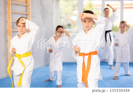 Kids are dedicated to their martial arts 135530384