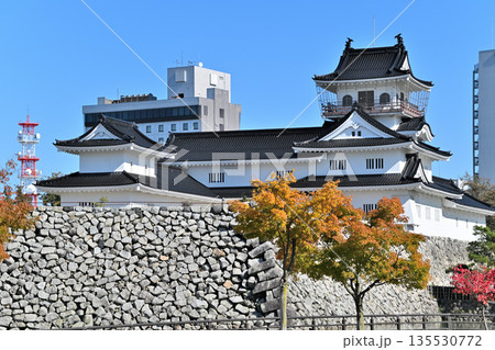 越中国「富山城」　晴天の天守閣と堀・石垣の様子 135530772