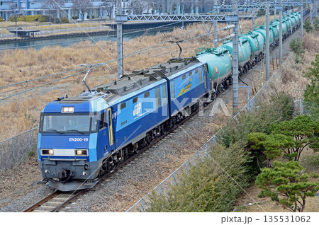 東海道本線 東高島-桜木町 JR貨物 EH200-19(高崎) 東海道本線 東高島-桜木町 JR貨物 EH200-19(高崎) 135531062