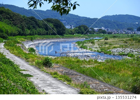 酒匂川・富士山麓から小田原市の相模湾に注ぐ美しい川 135531274