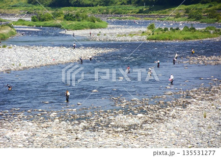 酒匂川・富士山麓から小田原市の相模湾に注ぐ美しい川 135531277