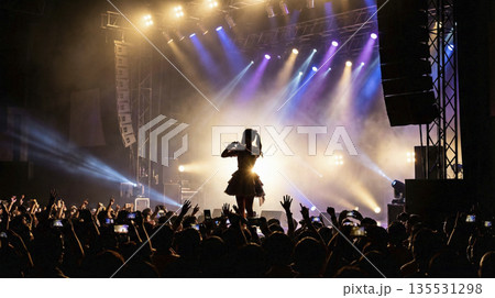 コンサートステージに立つアイドルのシルエットと熱狂する観客 ライブ会場の全景 コンサートステージに立つアイドルのシルエットと熱狂する観客 ライブ会場の全景 135531298