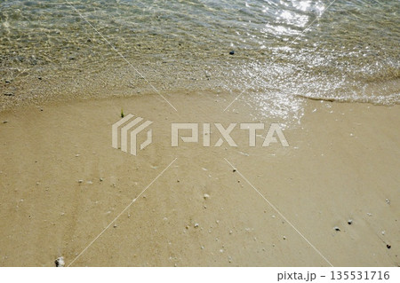 白い砂浜 135531716
