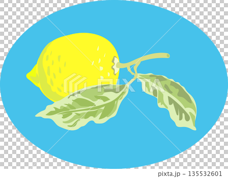 レモンをデザインしたイラスト レモンをデザインしたイラスト 135532601