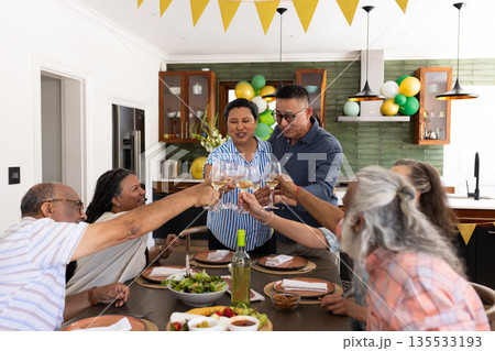 Senior friends toasting with wine glasses at home during festive party Senior friends toasting with wine glasses at home during festive party 135533193