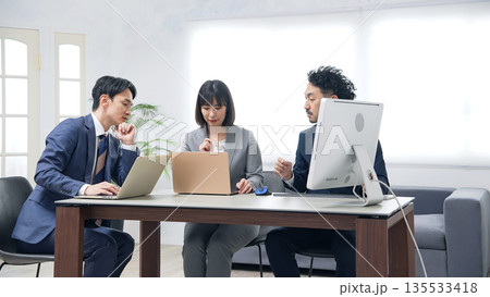 オフィスで仕事するビジネスパーソンのグループ オフィスで仕事するビジネスパーソンのグループ 135533418