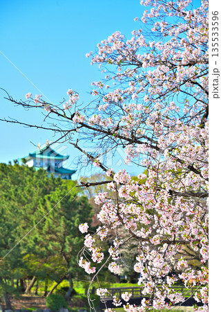 《愛知県》春の名城公園と名古屋城 135533596