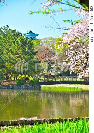 《愛知県》春の名城公園と名古屋城 135533600