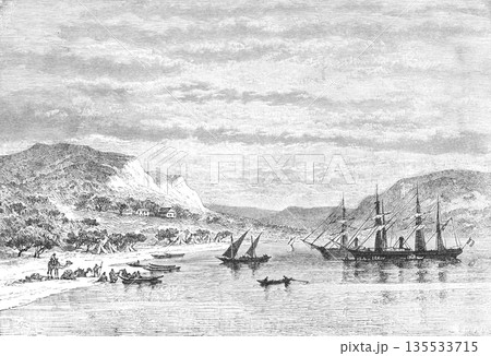 19世紀のイラスト　アフリカ　ジブチ 135533715