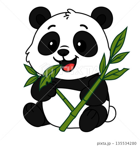baby panda sitting while eating bamboo 135534280
