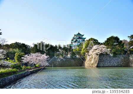 《愛知県》春の名古屋城と満開の桜 《愛知県》春の名古屋城と満開の桜 135534285