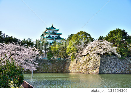 《愛知県》春の名古屋城と満開の桜 《愛知県》春の名古屋城と満開の桜 135534303