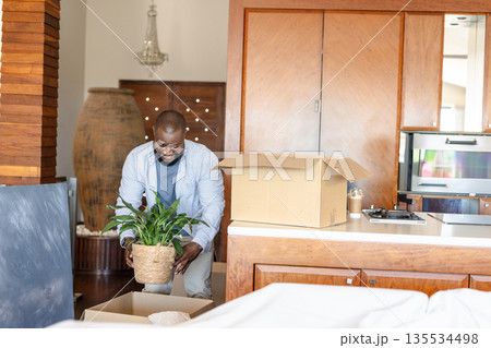 African American woman unpacking basket houseplant in modern kitchen with moving boxes, copy space African American woman unpacking basket houseplant in modern kitchen with moving boxes, copy space 135534498