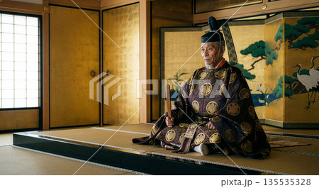 歴史上の天下人・豊臣秀吉の肖像（羽柴秀吉・木下藤吉郎時代を含む関白の姿） 135535328