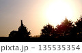 夕日に照らされ、浮かび上がる樹木のシルエット 135535354