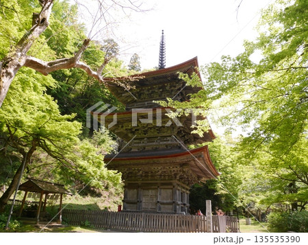 緑に囲まれた寺院 緑に囲まれた寺院 135535390