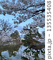 夕方の桜越しに見る松本城（桜フォーカス）（4月 長野県松本市 丸の内） 135535408