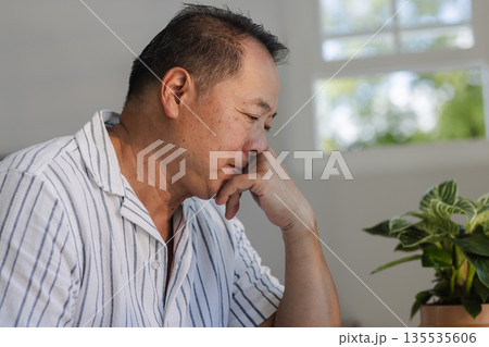 Elderly man contemplating while sitting at home near potted plant 135535606