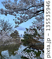 夕方の桜越しに見る松本城（お城フォーカス）（4月 長野県松本市 丸の内） 135535946