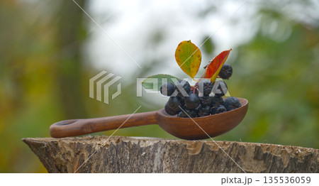 Autumn Aronia Berries In Rustic Wooden Spoon Resting On Tree Stump With Colorful Leaves 135536059