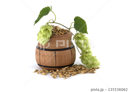 Wooden Barrel with Green Hops and Grain Isolated on White Background Wooden Barrel with Green Hops and Grain Isolated on White Background 135536062